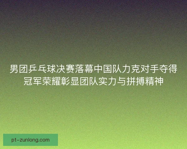 男团乒乓球决赛落幕中国队力克对手夺得冠军荣耀彰显团队实力与拼搏精神